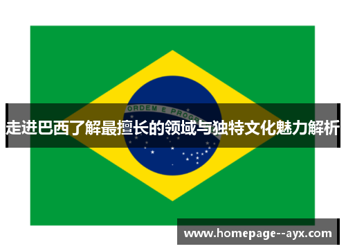 走进巴西了解最擅长的领域与独特文化魅力解析 走进巴西了解最擅长的领域与独特文化魅力解析