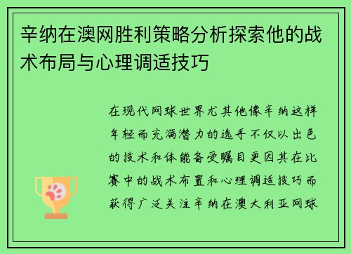 辛纳在澳网胜利策略分析探索他的战术布局与心理调适技巧