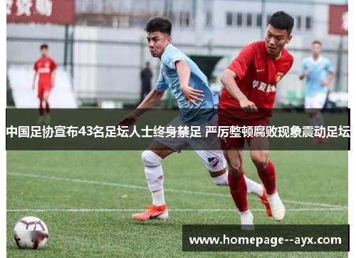 中国足协宣布43名足坛人士终身禁足 严厉整顿腐败现象震动足坛 中国足协宣布43名足坛人士终身禁足 严厉整顿腐败现象震动足坛