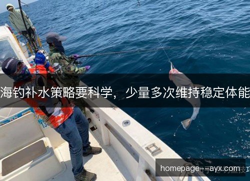 海钓补水策略要科学，少量多次维持稳定体能